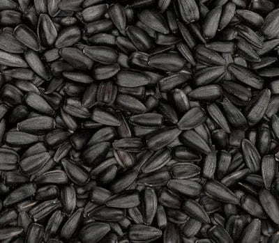 Olio di semi neri